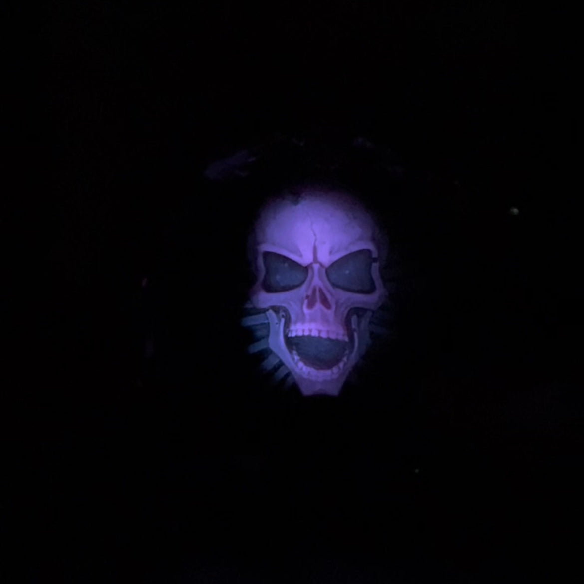 Totenkopf Aschenbecher in verschiedenen Designs